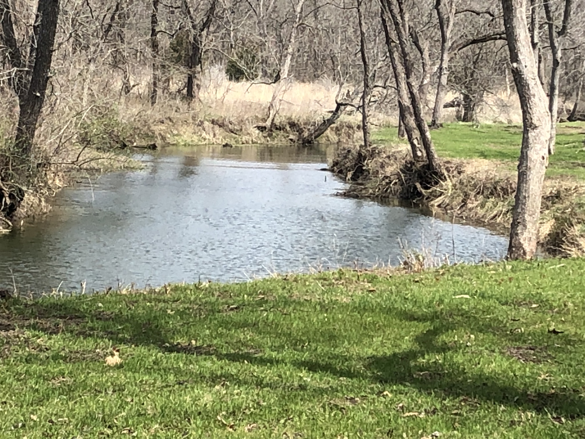 Kill Creek at Hidden Timber Farm horse pasture boarding